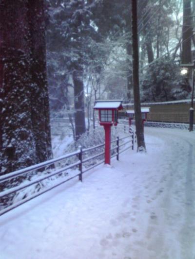 ★雪の高尾山★