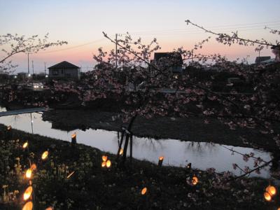 保田川頼朝桜の里　竹灯篭まつり２０１１