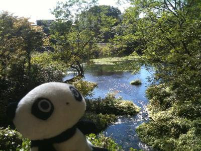 熱海一泊～三島そぞろ歩き～箱根一泊の紅葉ドライブ旅行そのに