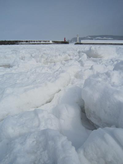 知床の冬・・・流氷を求めて③　『流氷と遊んじゃった～♪♪』