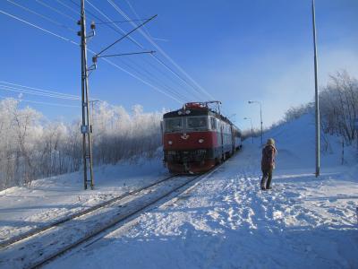 ノルウェー北極圏クルーズ＆欧州最北端鉄道でオーロラ満喫　3日目（アビスコ～ナルヴィーク～トロムソ）