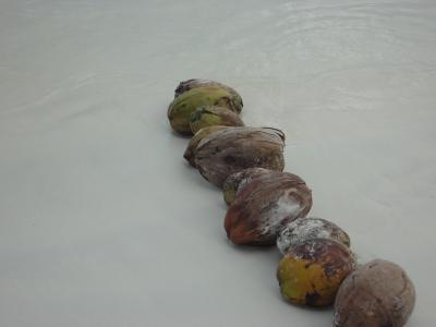 ハネムーンにおすすめ イル・デ・パン