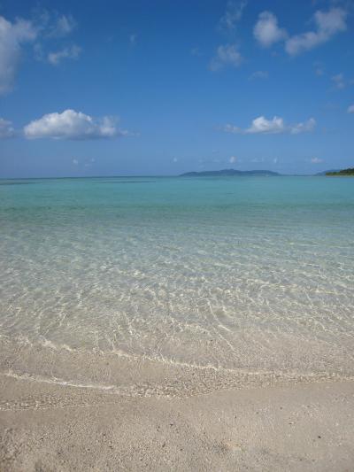☆八重山ブルーに出会う☆