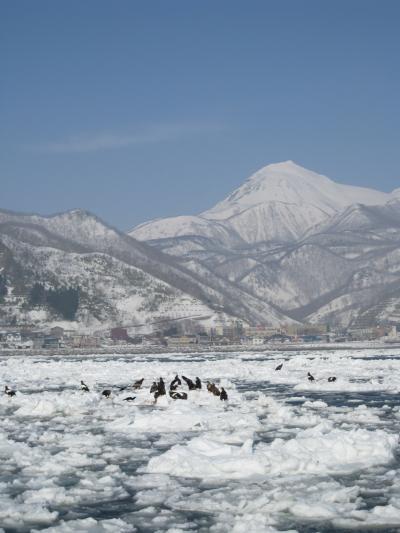 ２０１１　冬の北海道！　流氷船・・・２日目