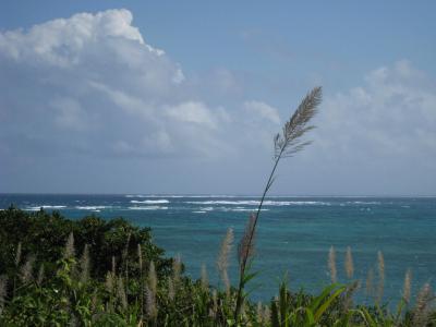 冬の沖縄・再び来ちゃいました