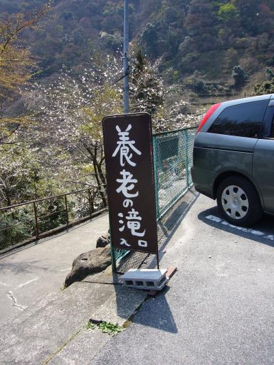 これがホントの養老の滝