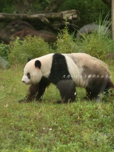 Bon Voyage ☆ Taiwan ~5day~