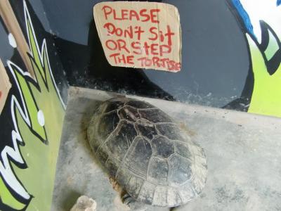 マレーシア自転車旅、おまけ付その8-ペナン空港へ