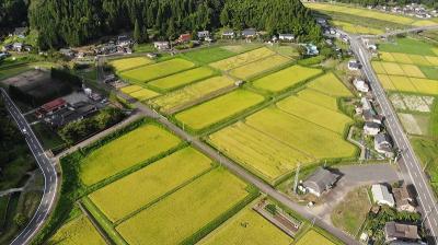 森の京都　綾部奥上林散策 　旅行記`京都丹波高原国定公園`  Kyoto Tamba Kogen Quasi-National Park