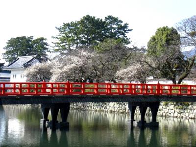 小田原城の梅と西海子小路の桜並木　　　いま、小田原がおもしろい。