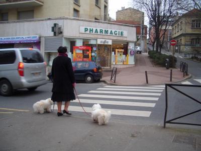 パリ！パリ！パリ！見るもの聴くものうれし楽し～イビスホテルイタリ