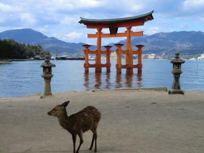 ★広島１人旅①宮島★