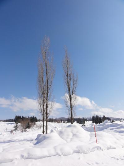 故人を偲んで雪見酒