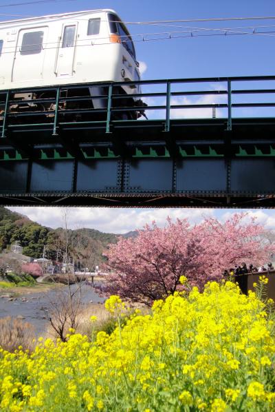 2011春・青春18きっぷの旅【1】河津