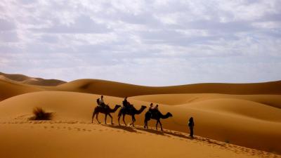サハラ砂漠・モロッコ一周