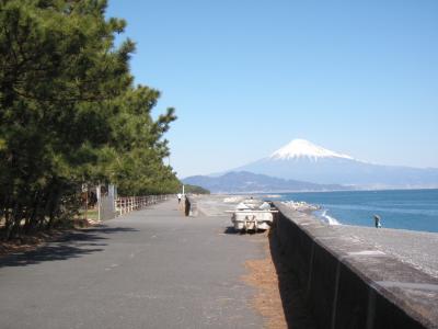 静岡・三保半島チャリンコの旅