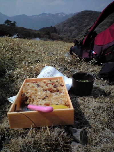 山より　とり飯（花より　だんご）！