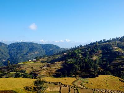 国民的お祭り・ティハールでさらにカオスなカトマンズとその周辺(3)