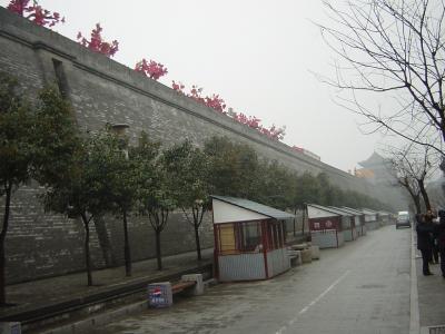 西安城壁ラン