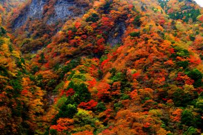 徳島山奥の紅葉達　～高の瀬峡～