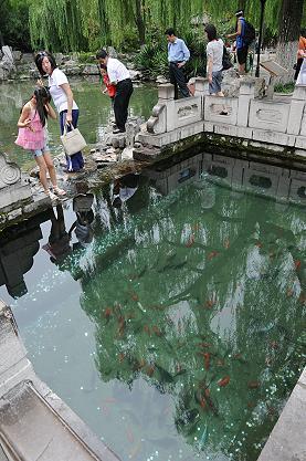 ★山東省 黄河の洛口浮橋と、市内の[足勺]突泉公園