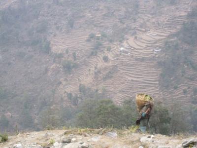 アンナプルナ・トレッキング（６） ガンドルン～ベリ カルカ