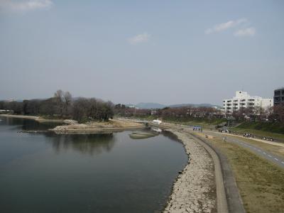 2011春「旭川さくらみち」岡山桜情報～4