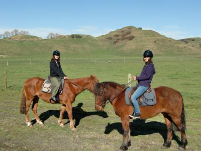 ニュージーランド旅行記②ファームステイ＆乗馬体験、Skyline（ﾛｰﾌﾟｳｪｰ）にリュージュ、夜はマオリショー☆