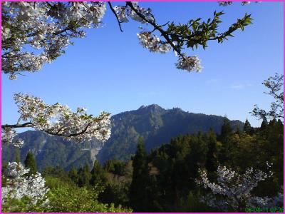 阿里山周辺に関する旅行記・ブログ(6ページ)【フォートラベル