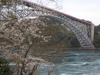 桜・西海橋　ドライブ