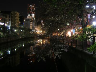 2011年春、節電、薄暗い夜にほんのりとした彩り。横浜大岡川の闇夜を照らす桜