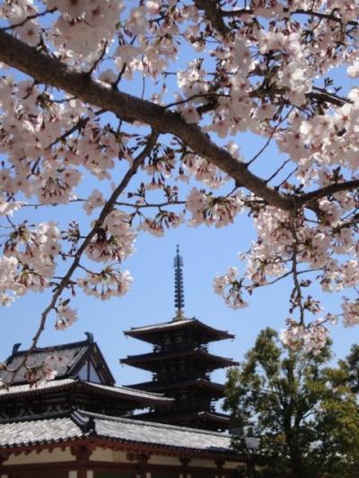 四天王寺と大仙公園の桜2011年