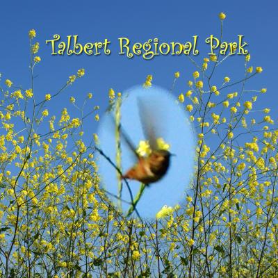 Talbert Regional Park　　タルバート地域公園