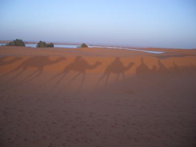 Sahara Expedition−ヨーロッパ周遊33；アフリカ寄り道編3−