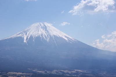 富士山と白糸の滝と　ちょっとだけカモシカ