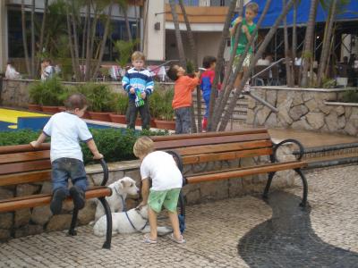 白人の小さな子供たちとたくさんの出会いがあった愉景湾の旅