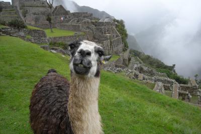 No.015 ペルー旅行−リマ・ナスカ・クスコ・マチュピチュ−