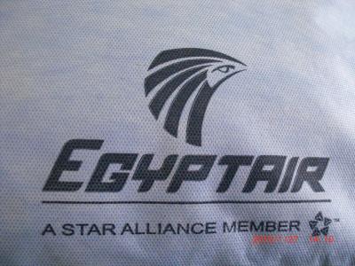 2010 エジプト　～(初めての添乗員付きツアー）出発～