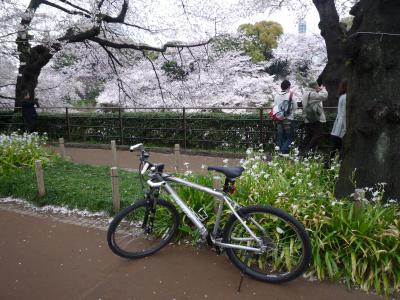 2011年04月　靖国神社、北の丸公園の桜を見てきました。