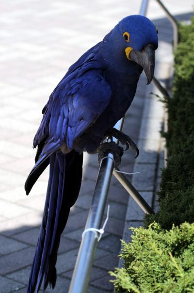 Solitary Journey ［887］ ささやかなひととき…春の陽気の中、動物たちも元気でした。＜安佐動物公園＞広島市安佐北区