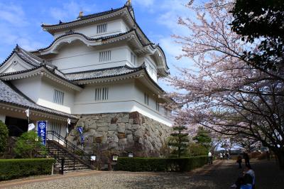 養老渓谷/勝浦/安房鴨川ぐるり旅【1】～房総の小江戸～大多喜城(花見2011)