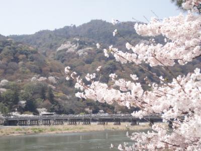 桜景色の保津川下りと嵯峨野トロッコ列車2011