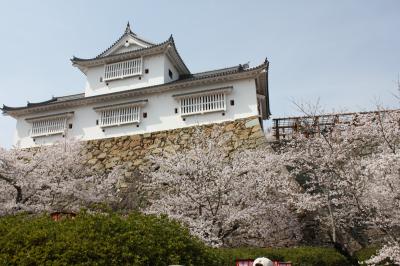花見に津山に行ってきました。