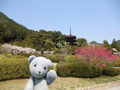 2011年瑠璃光寺五重塔ガイド日記