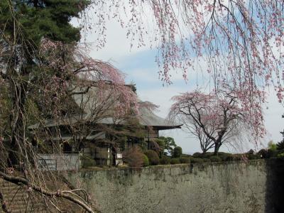 妙義山山麓と碓氷峠鉄道文化むら２０１１年