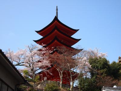 よくばりなお花見ドライブ≪３－２≫～春の安芸の宮島～