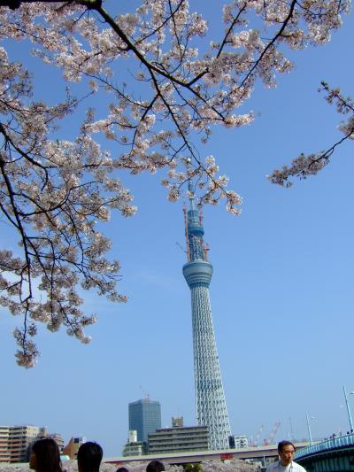 きっと、きっと。 ～桜が咲いた東京から～２０１１春