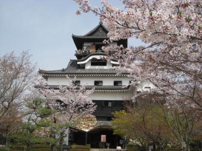 近くに行きたい♪　｢地元愛知の桜の名所を訪ねよう（*^_^*）　～Vol.2　犬山城～｣