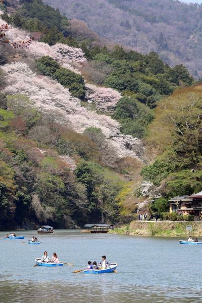 京都を歩く(85)　桜色に染まる嵐山で優雅なお花見を