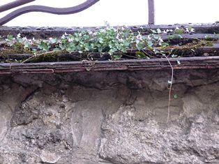 Il de France 日帰り旅行 その3:オーヴェル・シュル・オワーズ